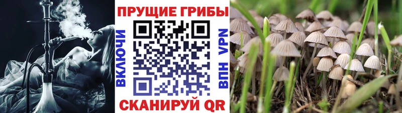 Галлюциногенные грибы мухоморы  наркота  Калач 